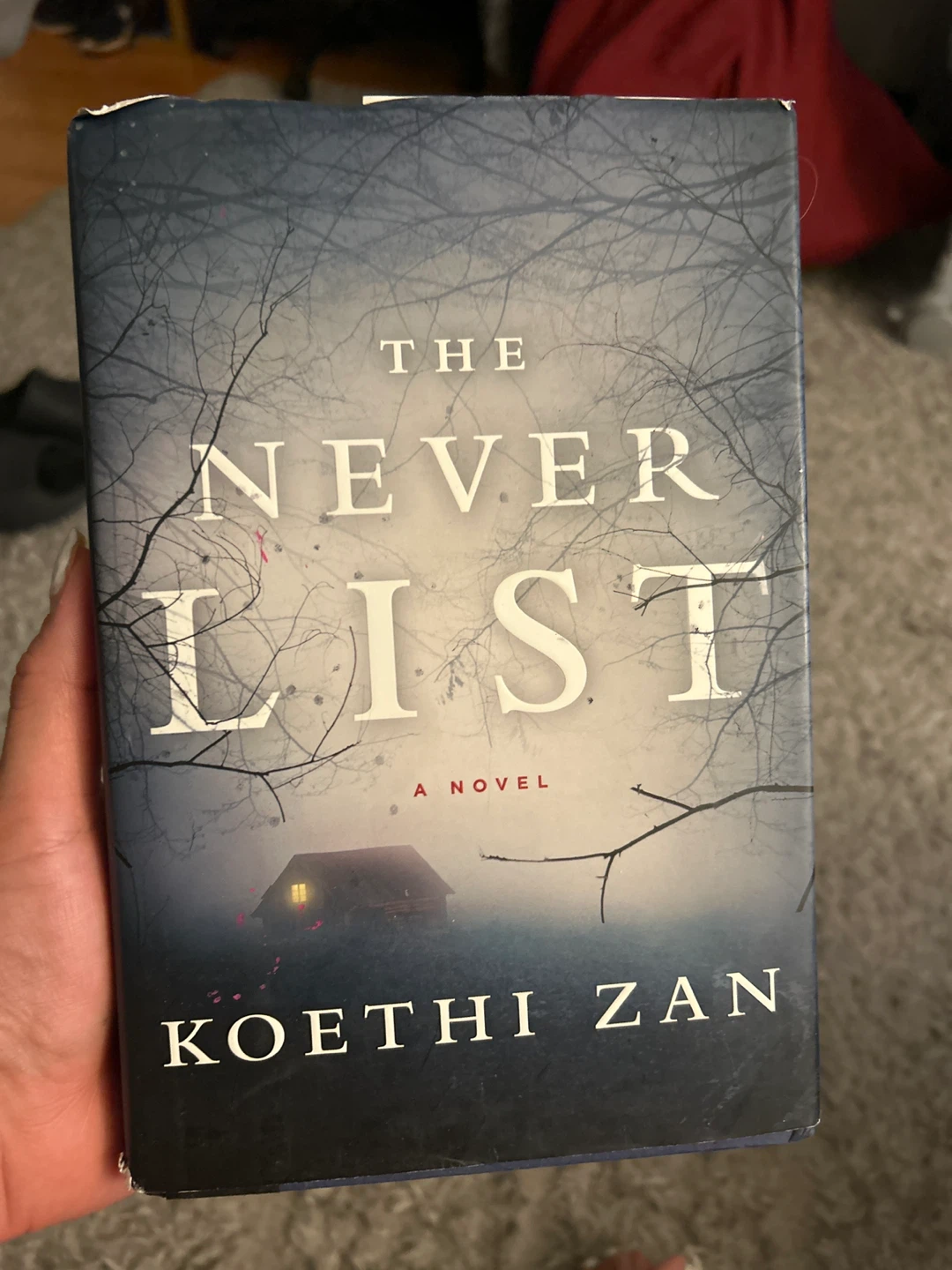 The Never List by Koethi Zan
