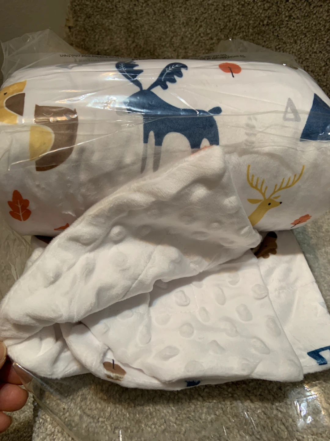 Brand New Minky Blanket 40"x50"