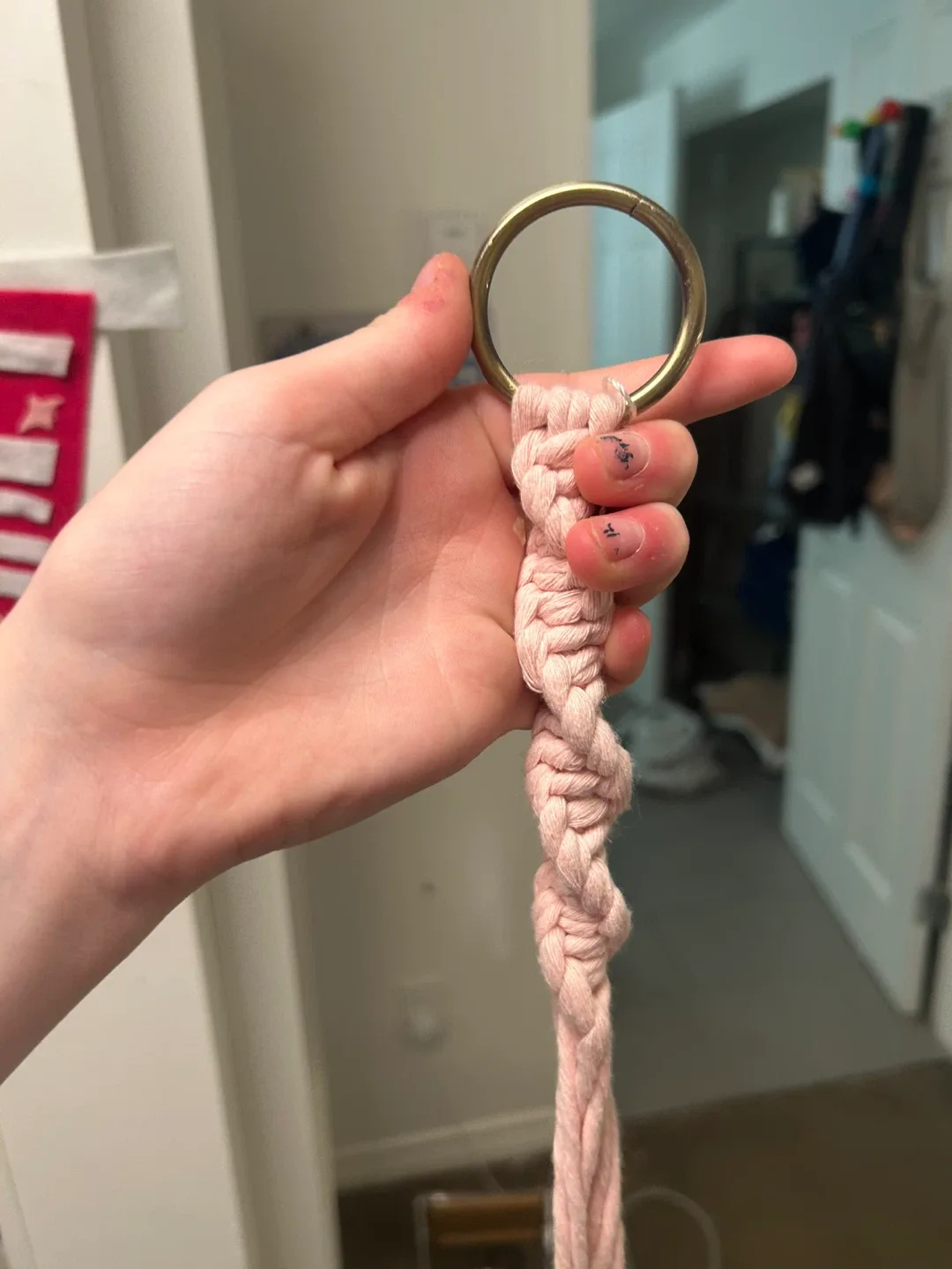 Pink Macrame Plant Hanger image indicator(2)