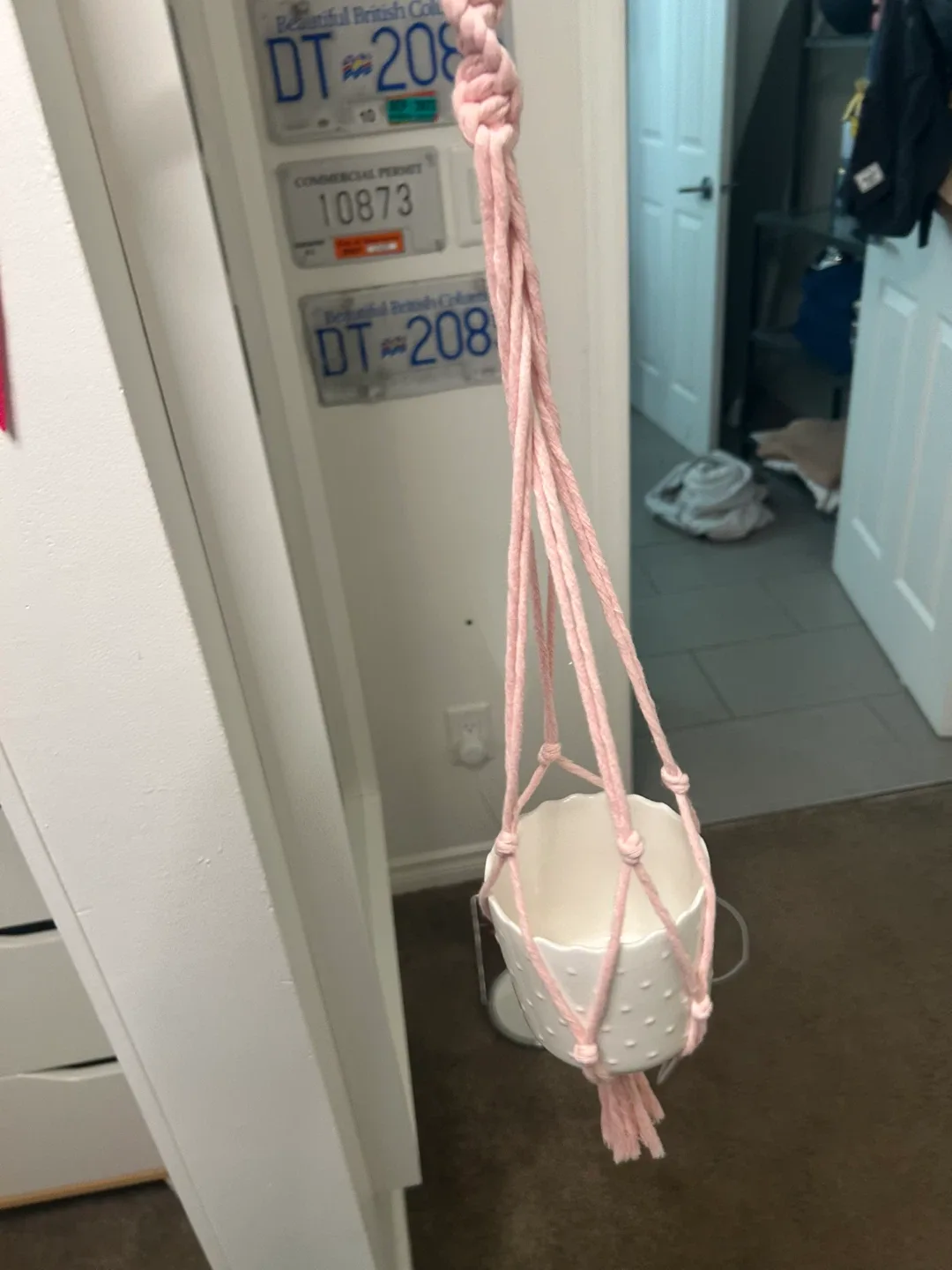 Pink Macrame Plant Hanger image indicator(5)