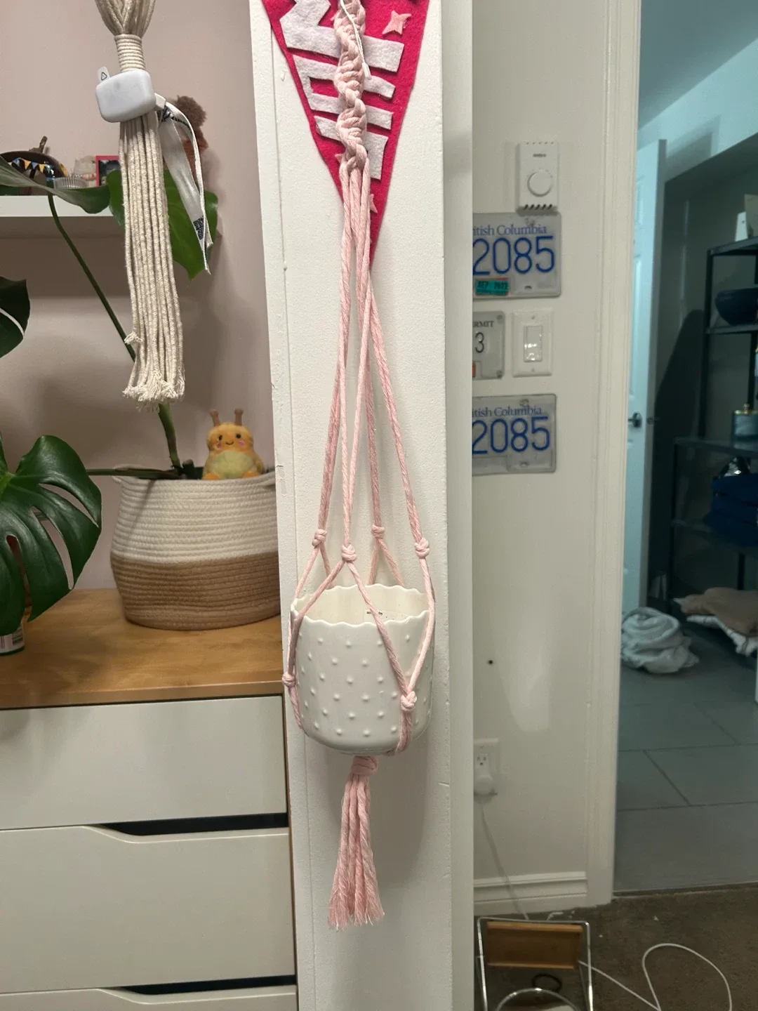 Pink Macrame Plant Hanger image indicator(3)