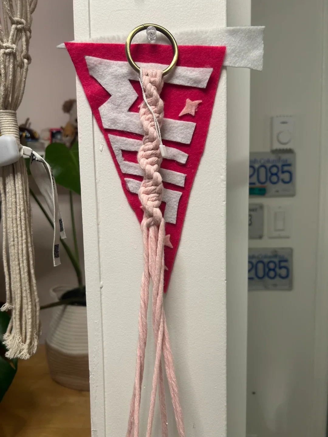 Pink Macrame Plant Hanger image indicator(6)