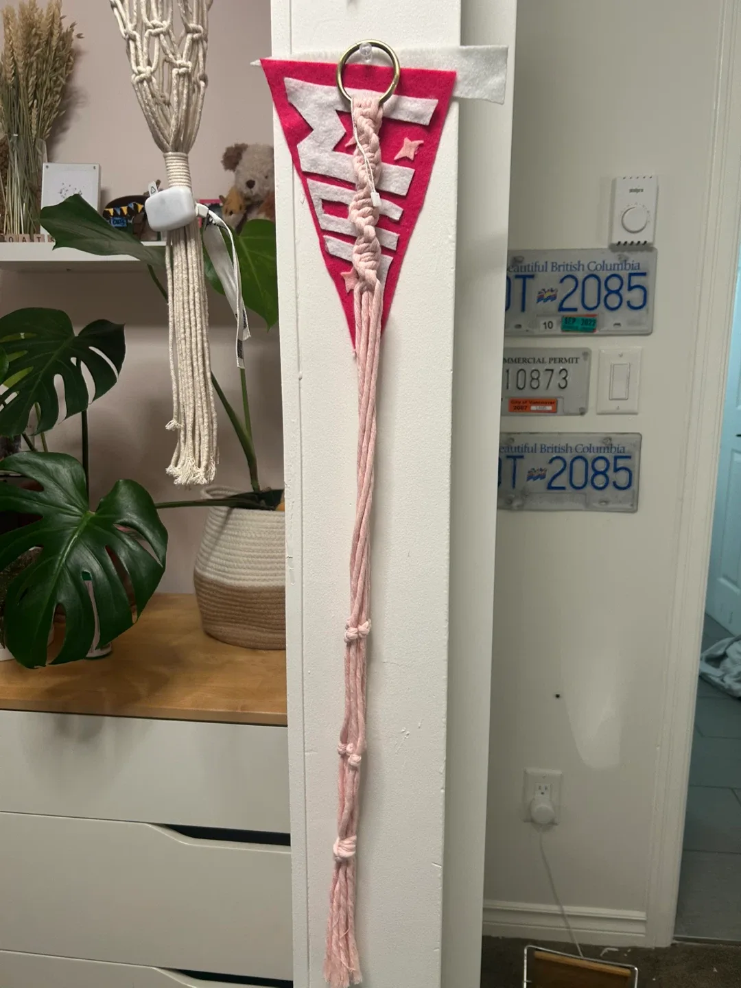 Pink Macrame Plant Hanger image indicator(4)