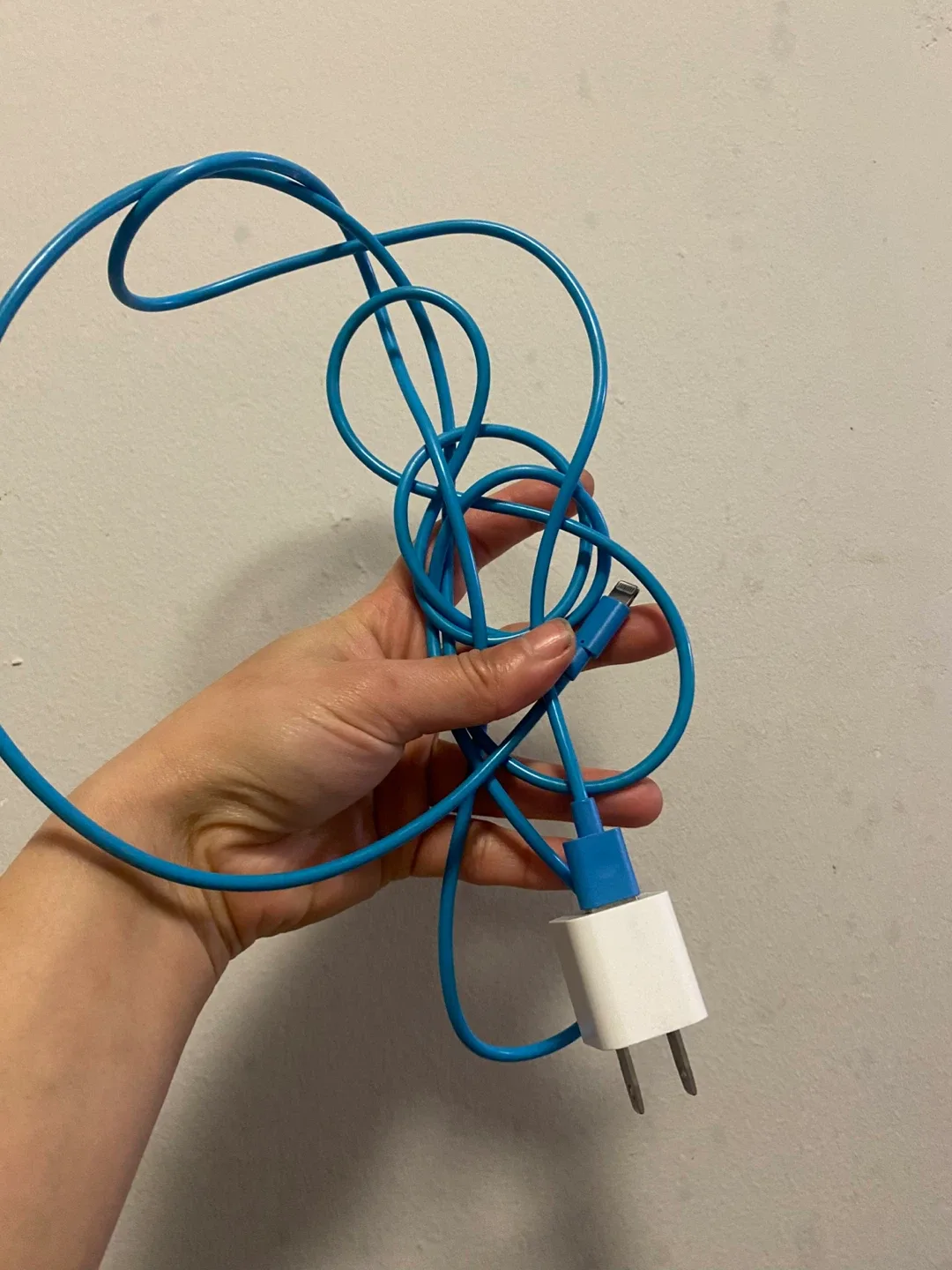 Apple Charger with Blue Cable image indicator(2)