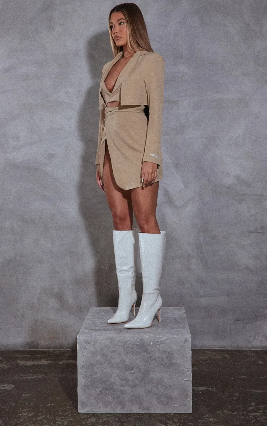 Beige Blazer Dress image indicator(2)