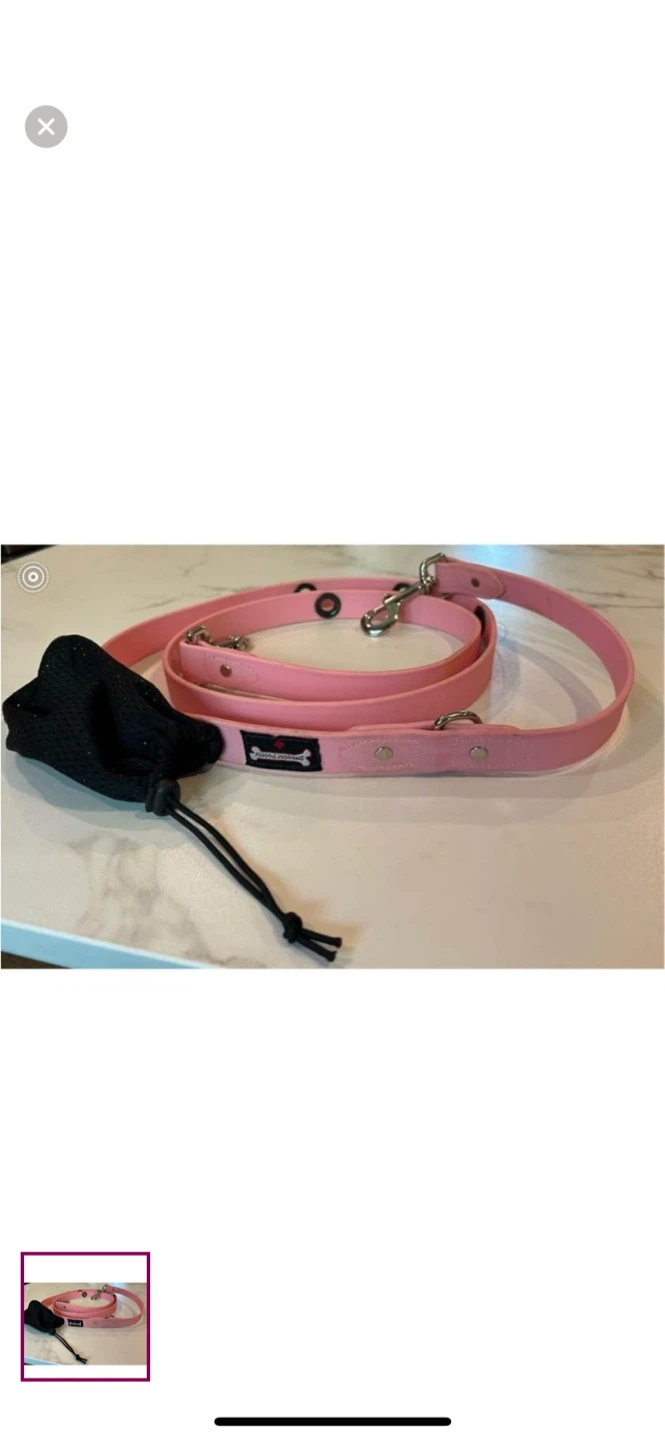 Pink Dog Leash