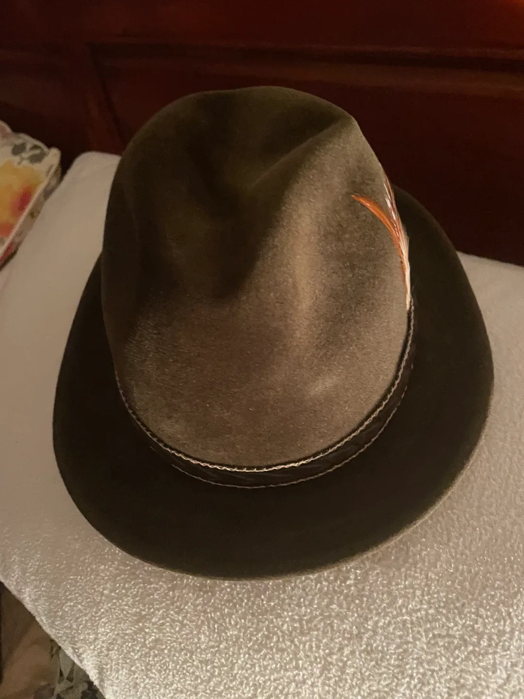 Brown Fedora Hat with Feather image indicator(4)