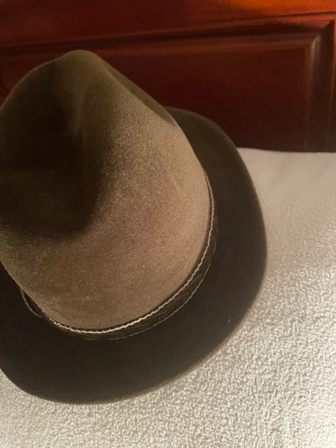 Brown Fedora Hat with Feather image indicator(3)