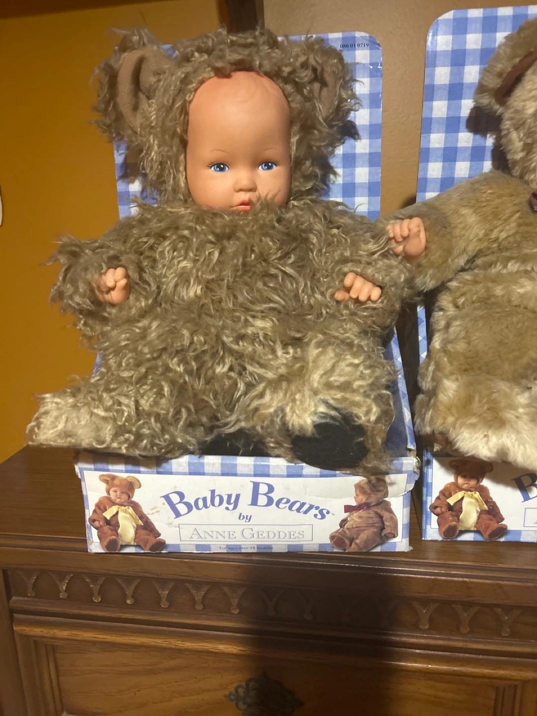 Anne Geddes Baby Bears
