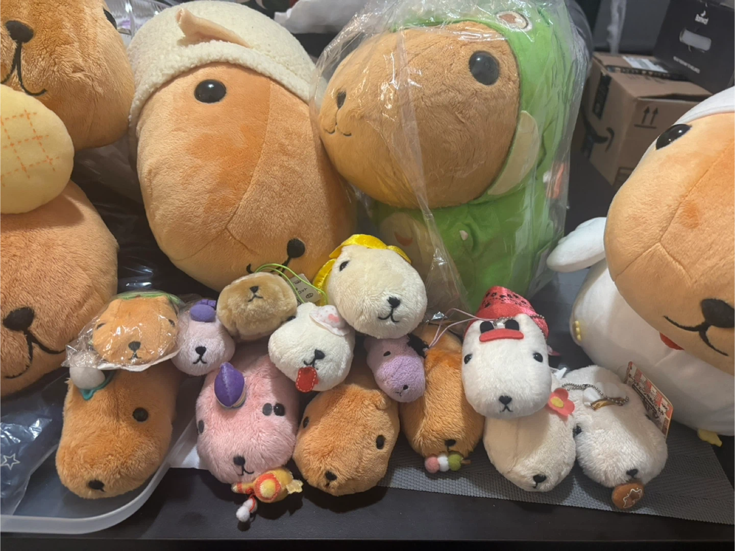 Authentic Kapibarasan Plushie