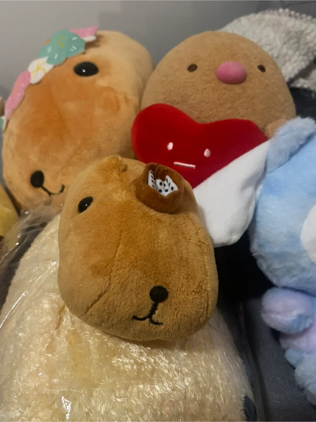 Authentic Kapibarasan Plushie image indicator(7)