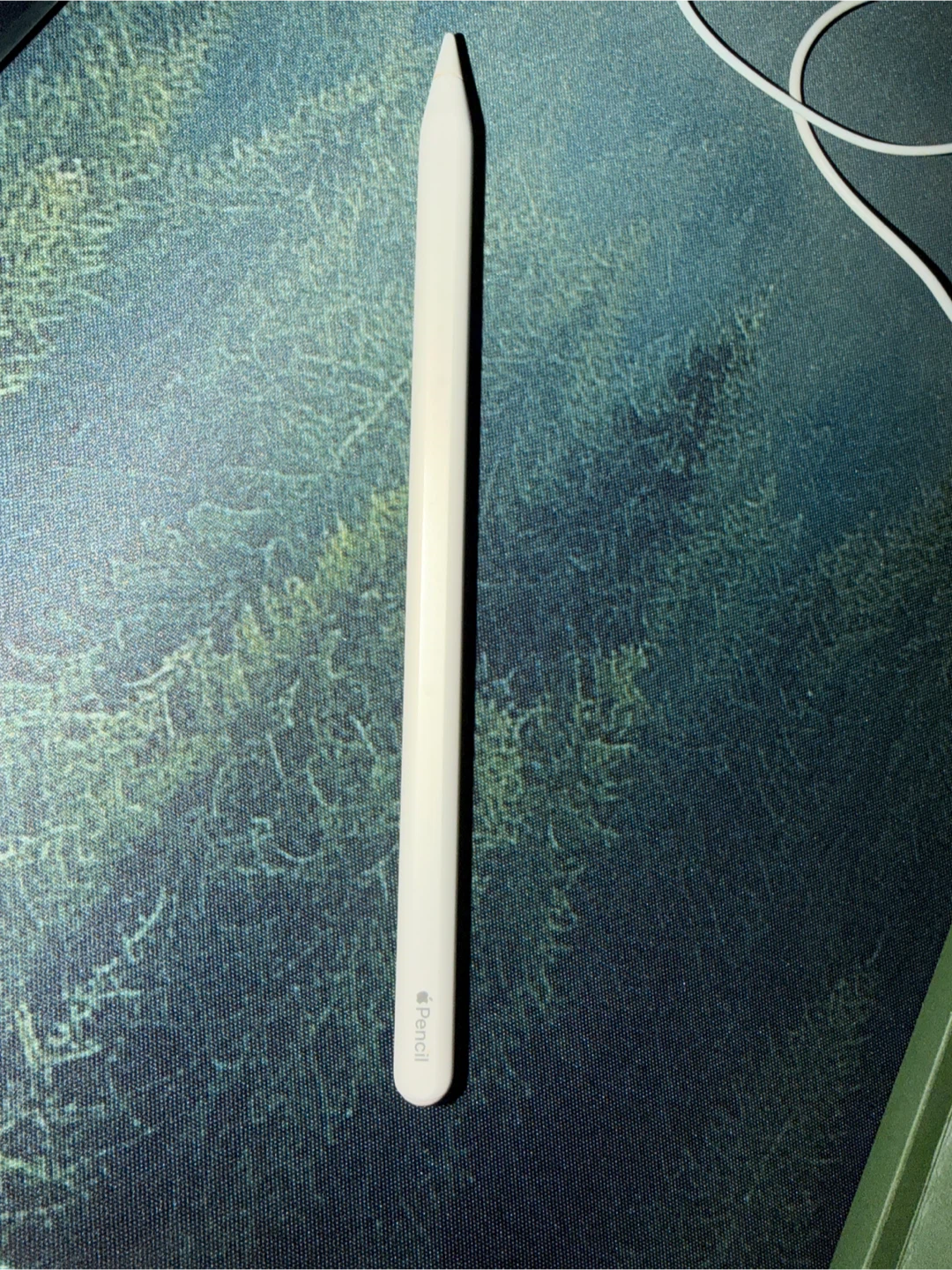 Apple Pencil 2nd Gen