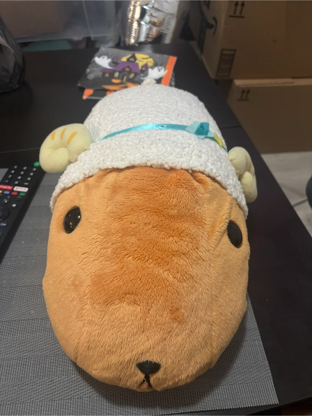 Authentic Kapibarasan Plushies