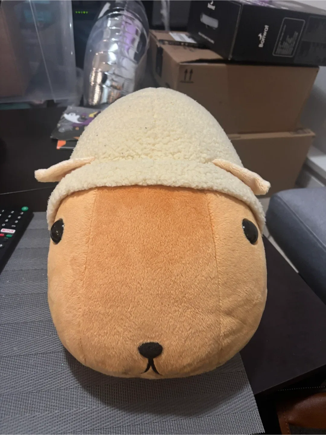 Authentic Kapibarasan Plushies image indicator(3)