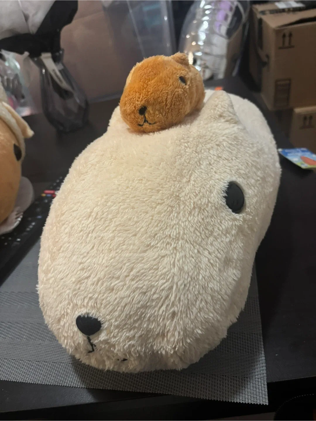 Authentic Kapibarasan Plushies image indicator(4)