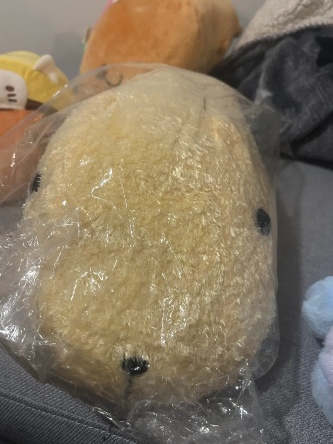 Authentic Kapibarasan Plushies image indicator(8)
