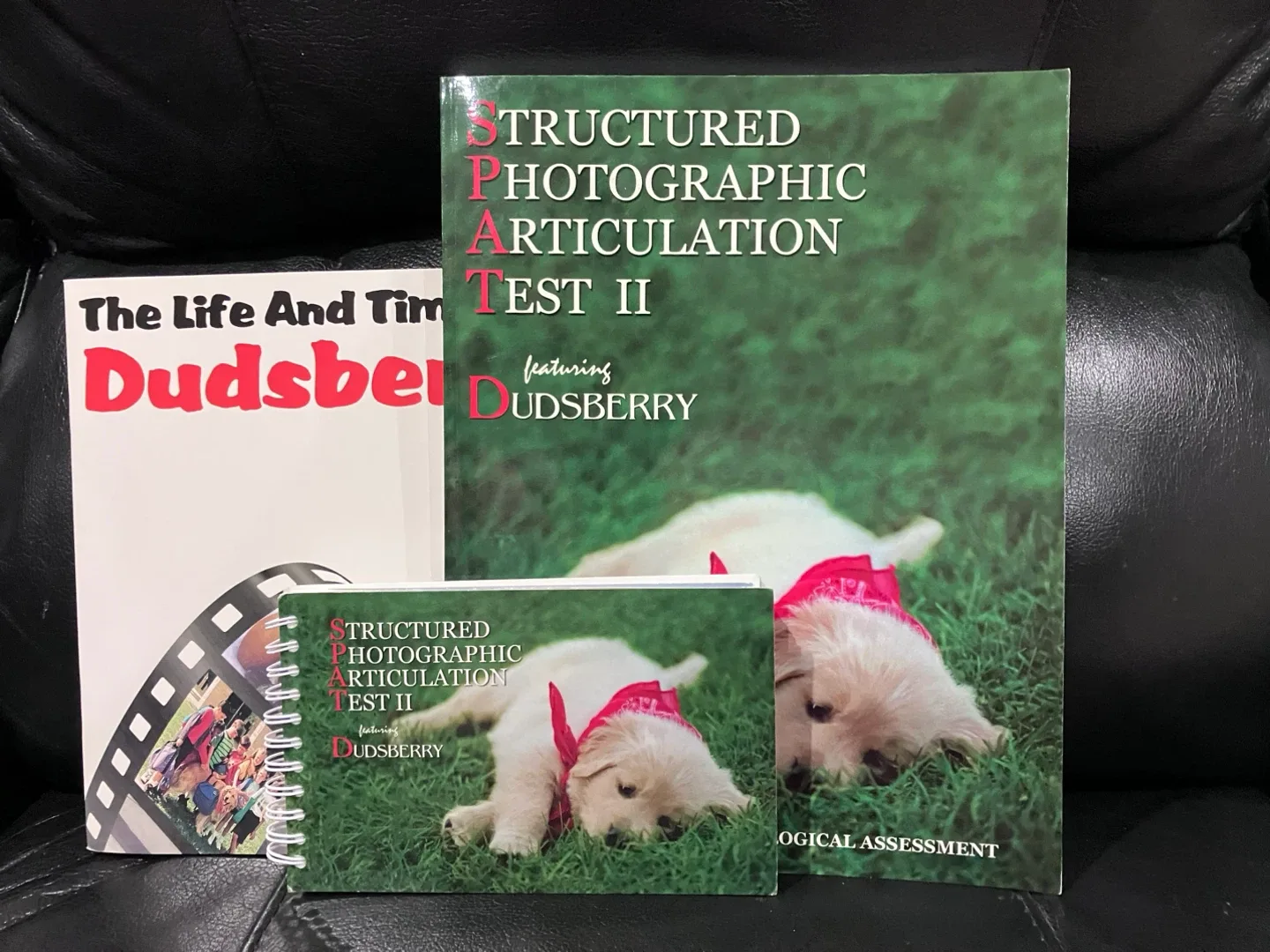 Structured Photographic Articulation Test II thumbnail