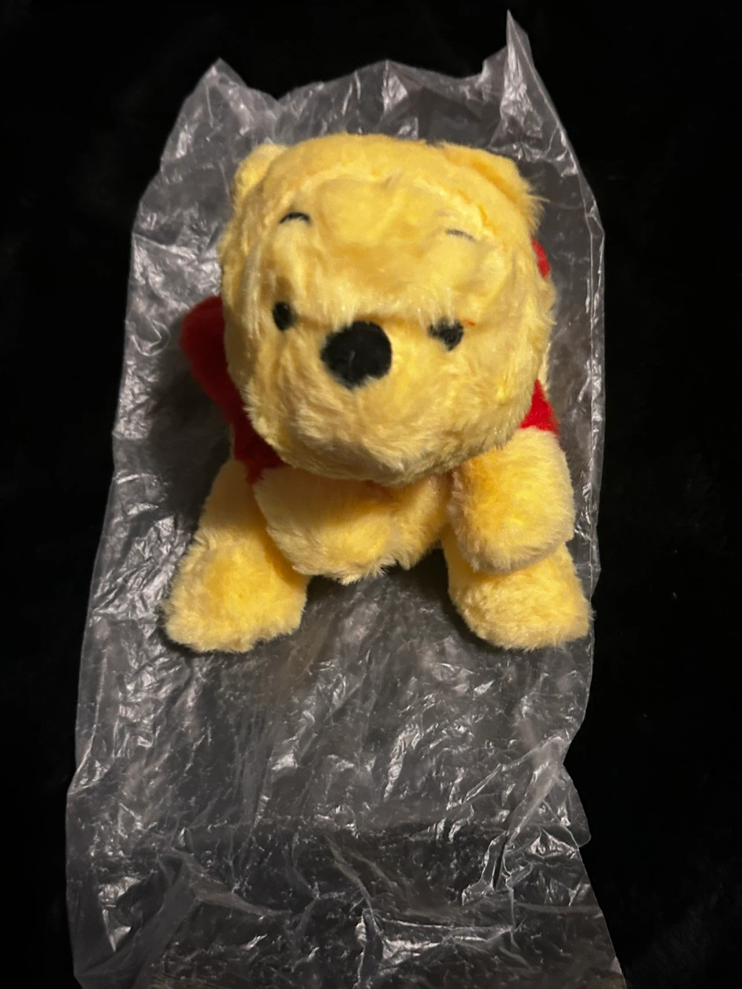 Disney Winnie the Pooh Plush Pouch