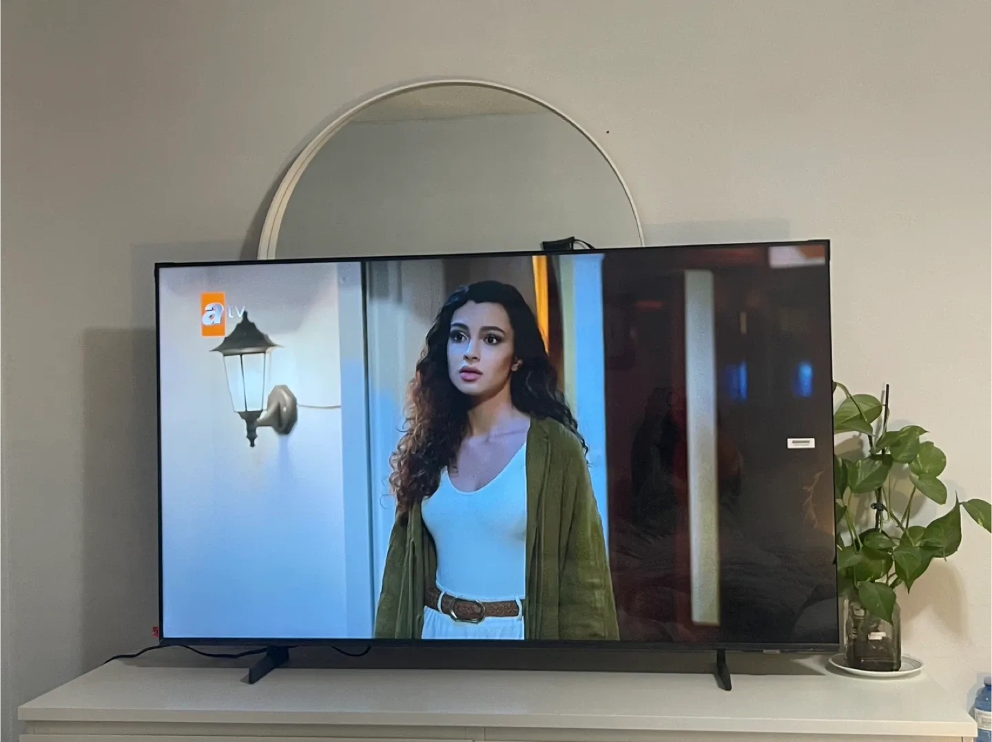 TV - Television image indicator(4)