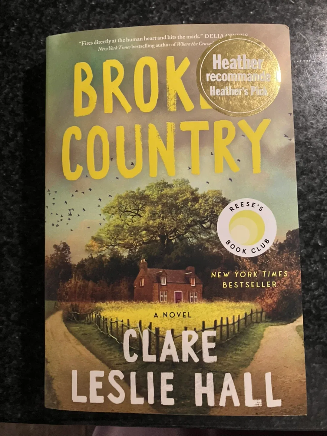 Brok Country by Clare Leslie Hall