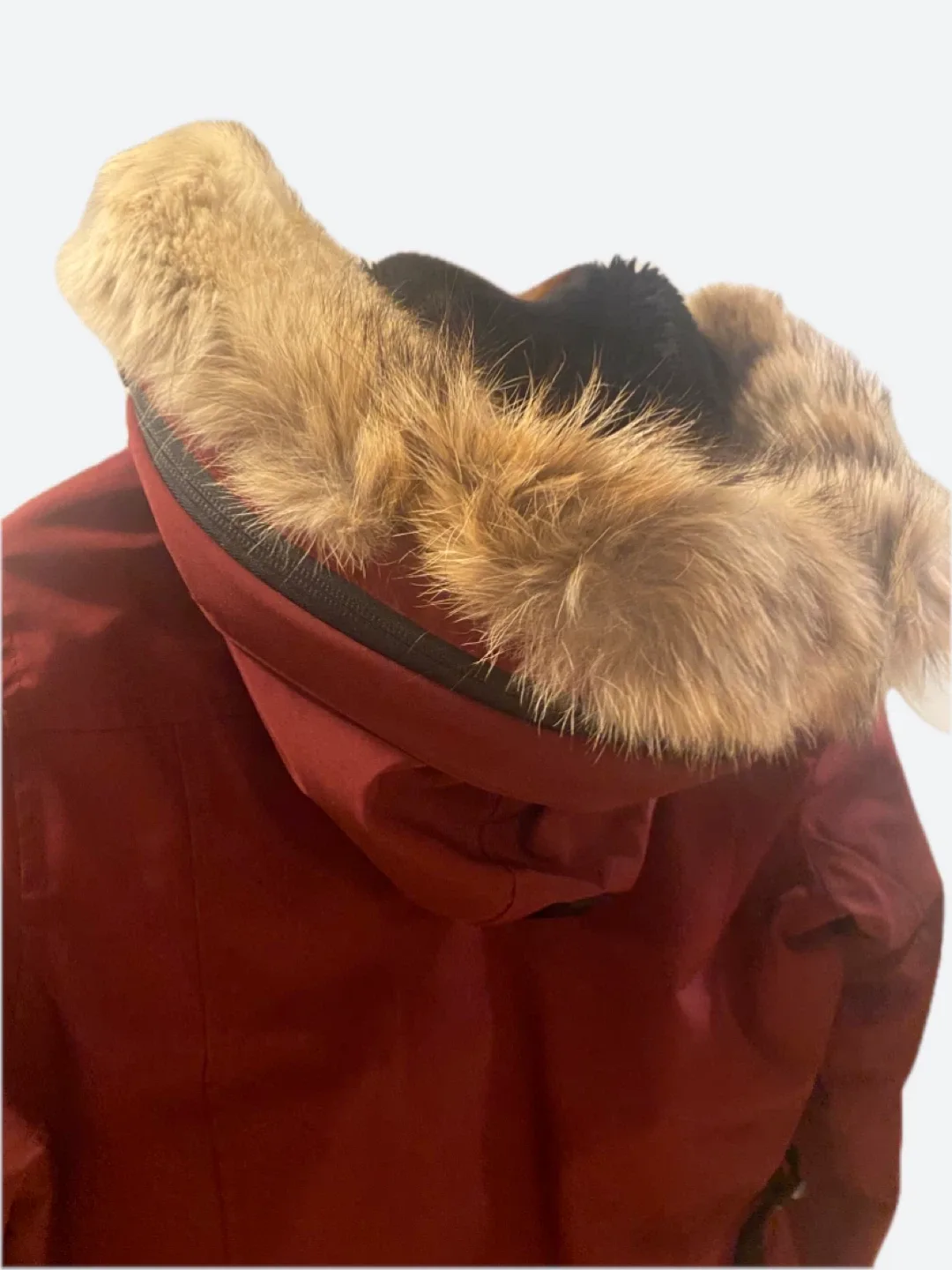 MOVING!!! Canada Goose Kensington Parka S/P image indicator(3)