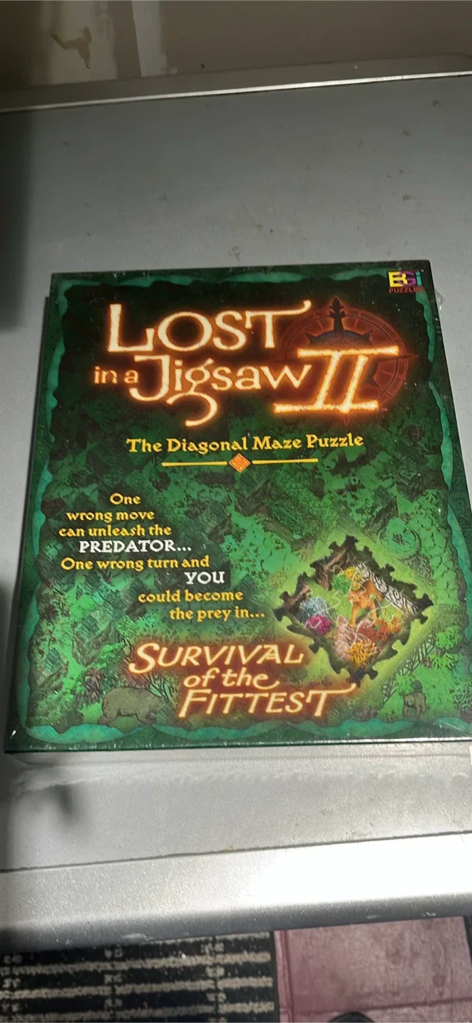 Lost in the Jigsaw Puzzle 2