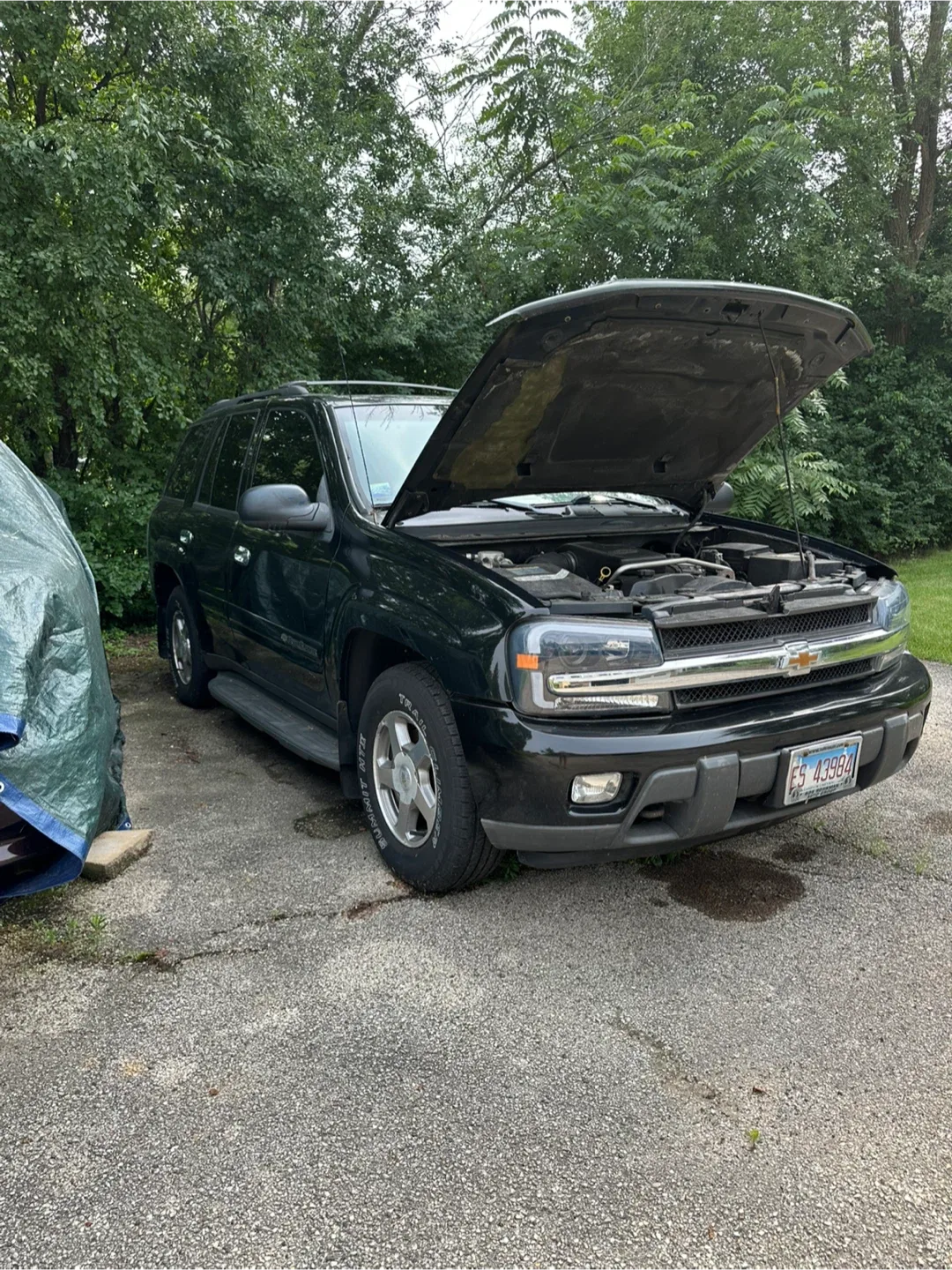 2003 Chevy Trailblazer image indicator(3)