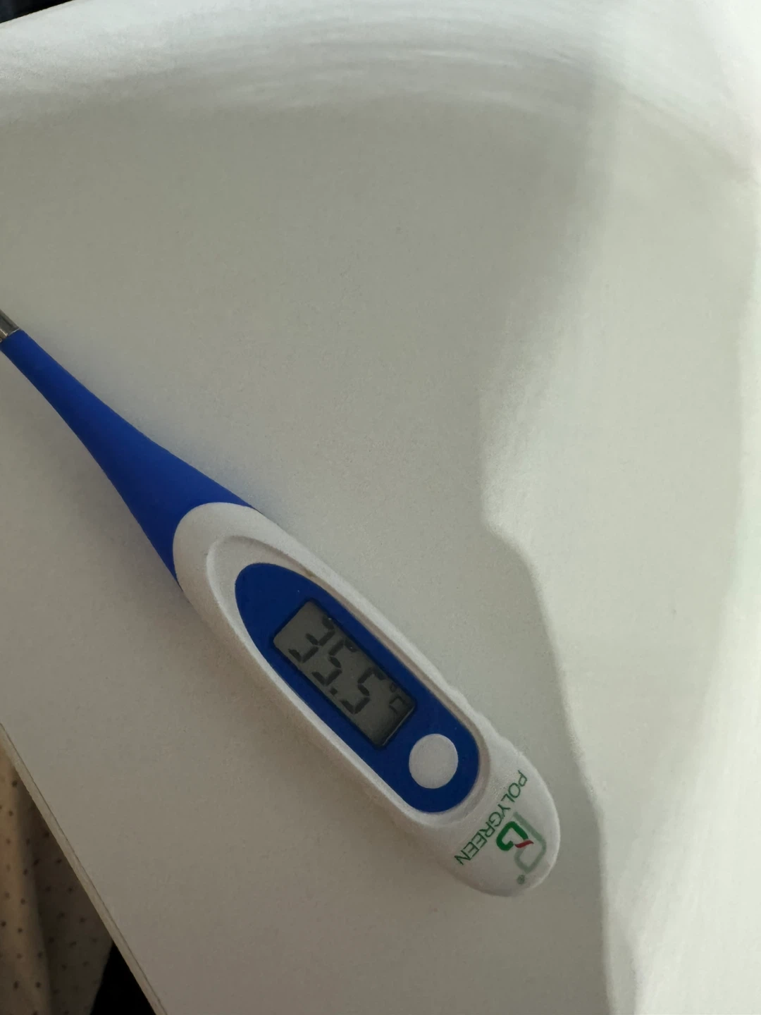 Polygreen Digital Thermometer - photo 3
