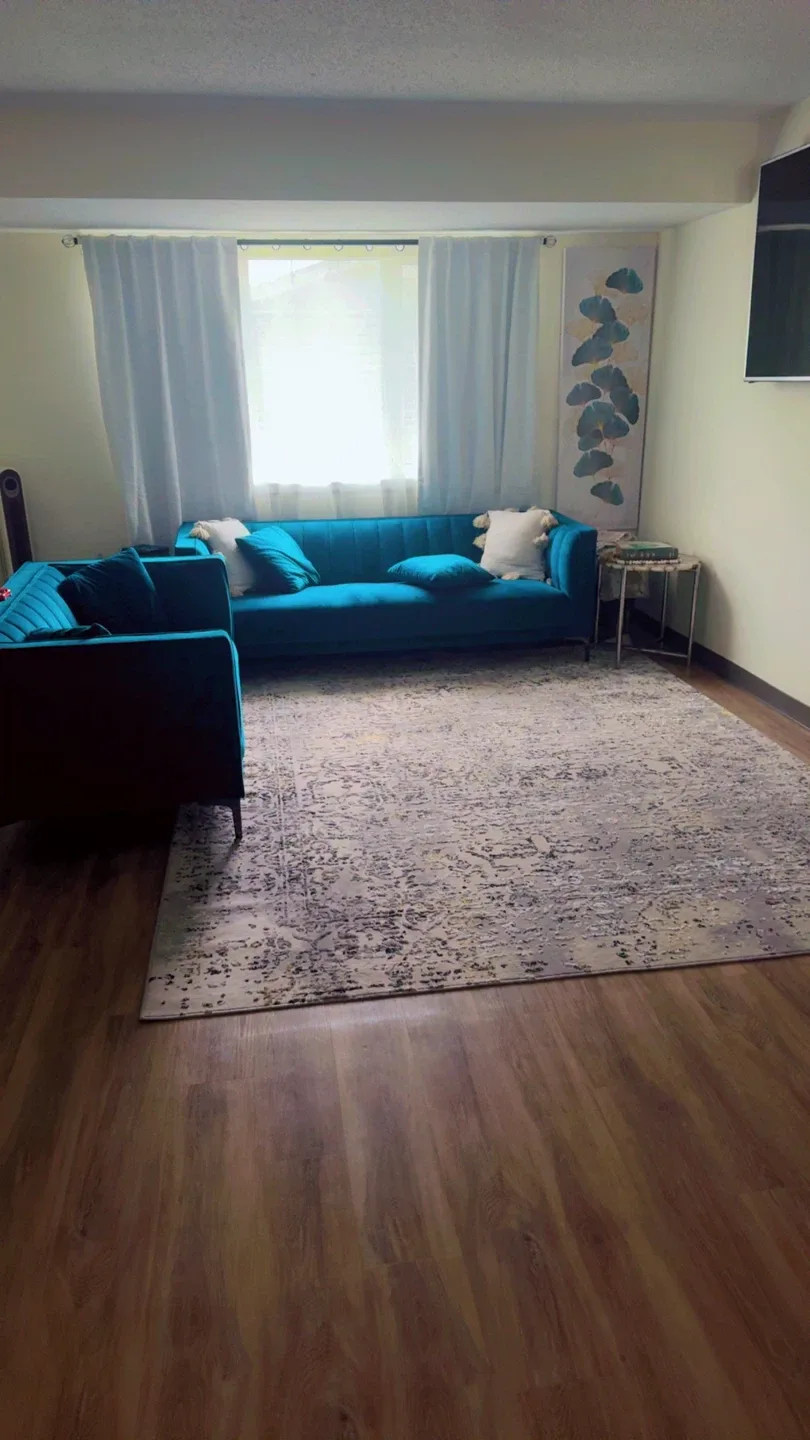Teal Blue Sofa and Area Rug image indicator(3)