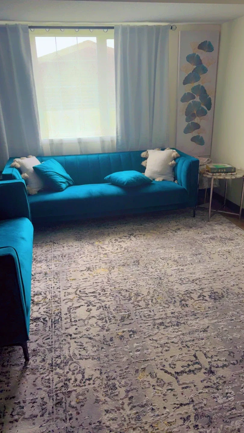 Teal Blue Sofa and Area Rug image indicator(2)