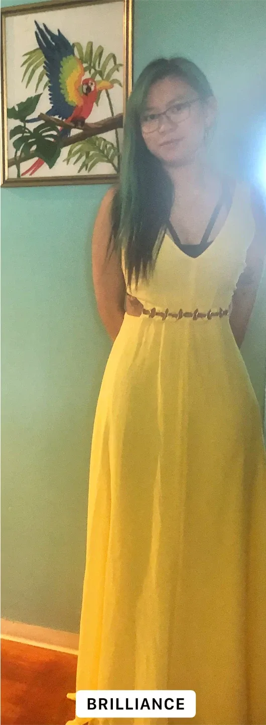 Marciano Lima alegan dress beautifully  shiffon image indicator(6)