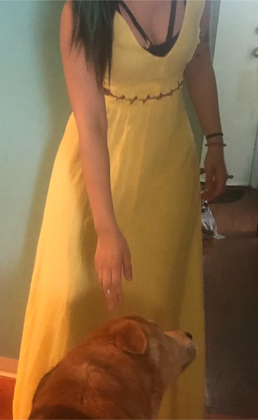 Marciano Lima alegan dress beautifully  shiffon image indicator(5)