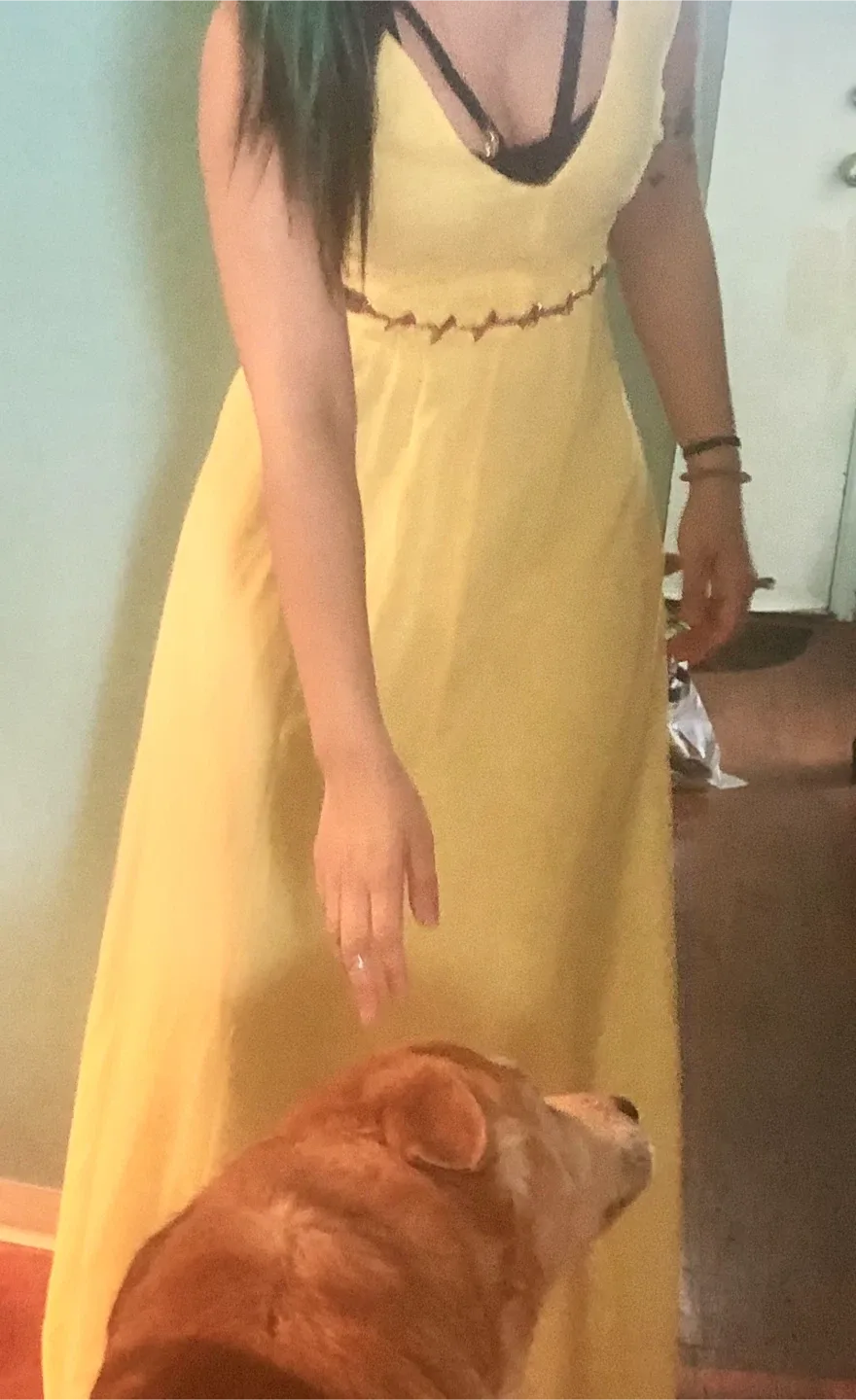 Marciano Lima alegan dress beautifully  shiffon image indicator(4)