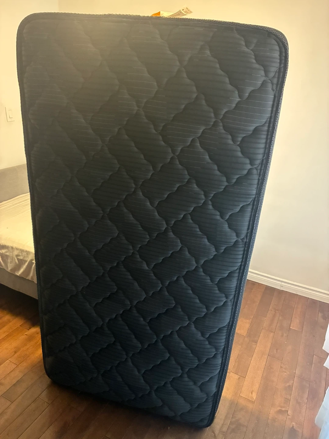 Dark Blue Mattress (Twin)