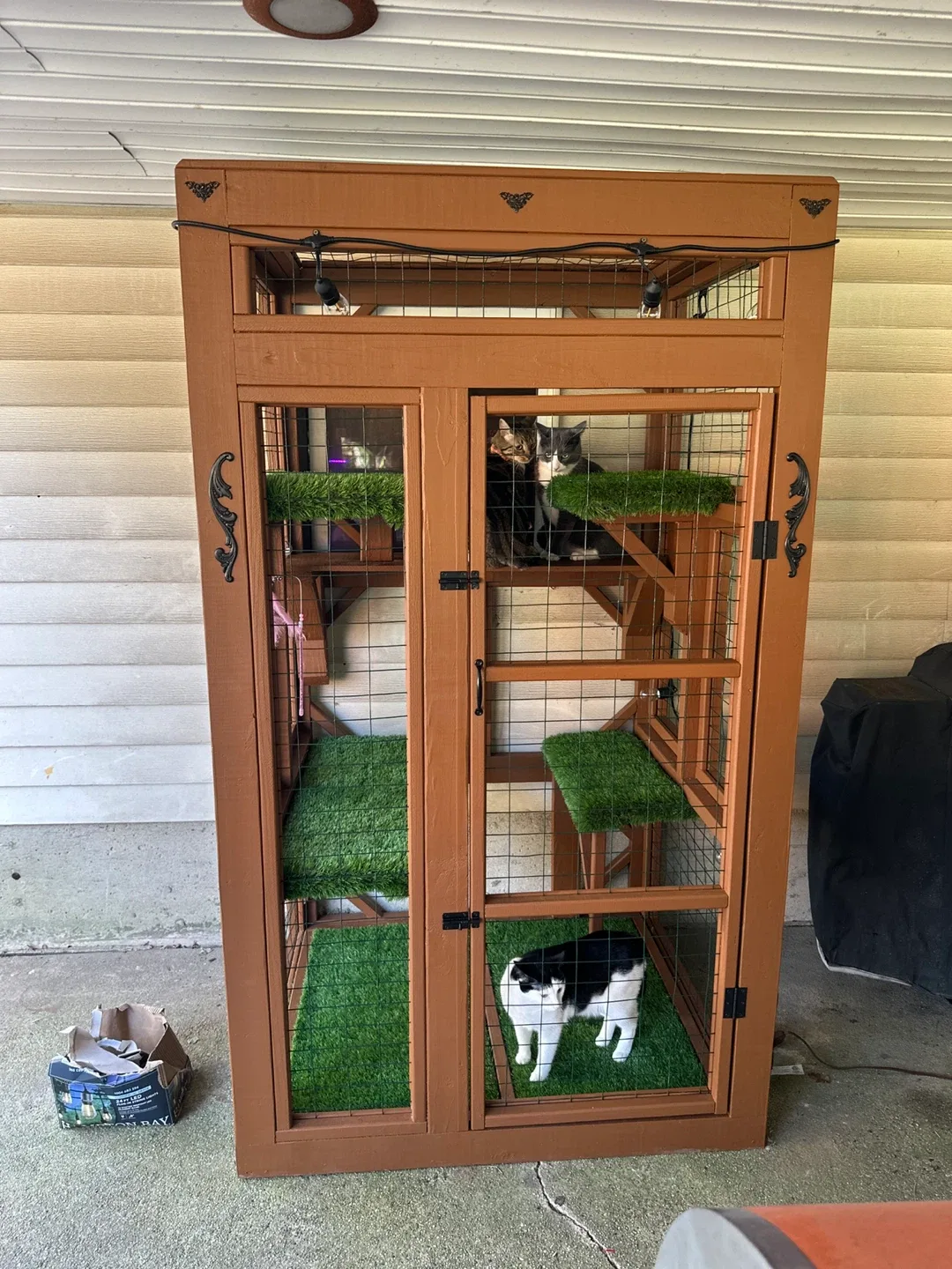 Luxury Catios & Towers 🐾 | Built to Last 10+ Years image indicator(7)