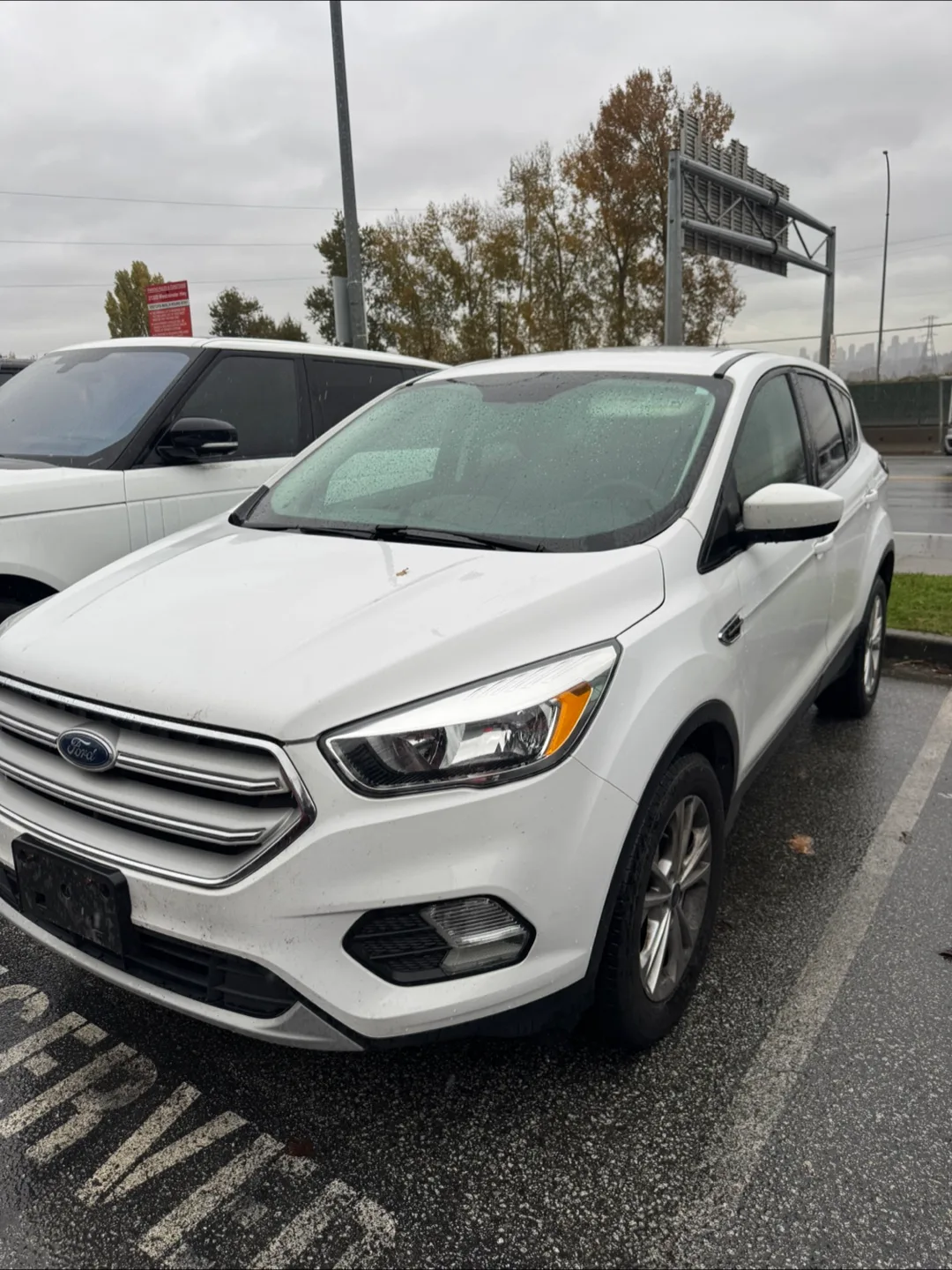 2019 ford escape
