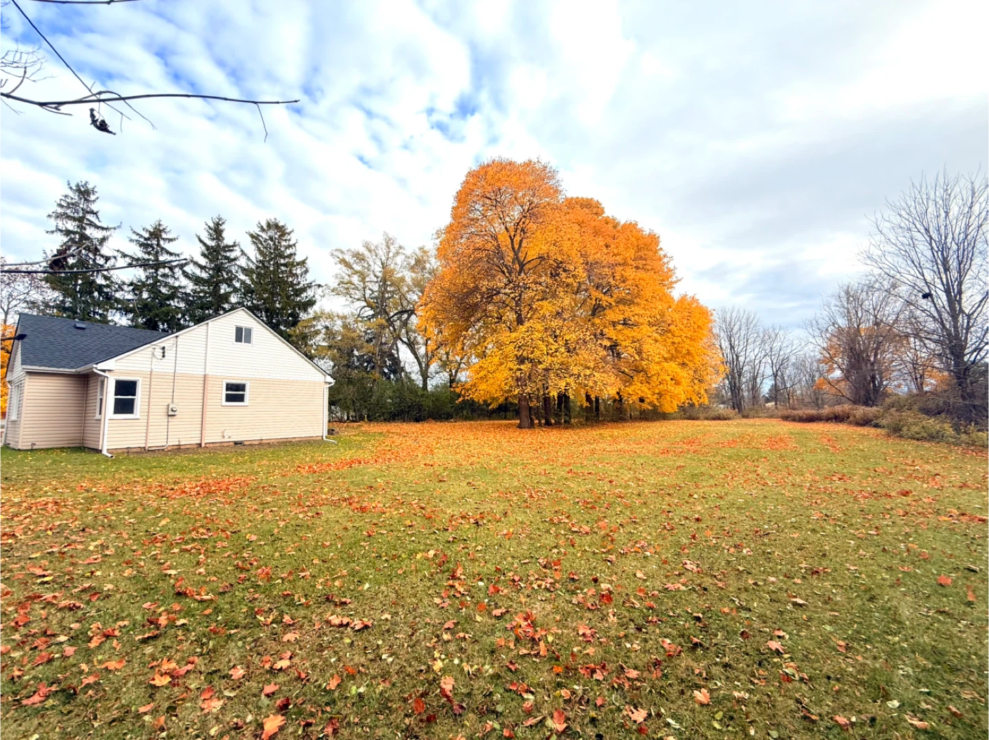 3 Beds 1 Bath - House - photo 2