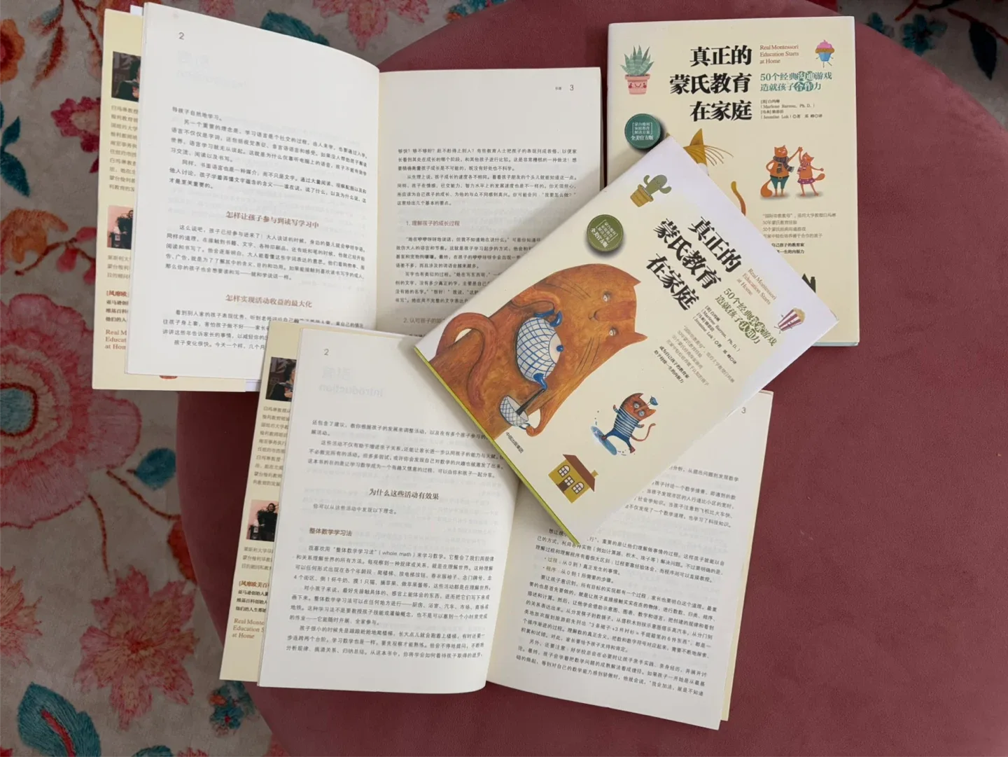 Montessori Education Starts at Home Books image indicator(3)