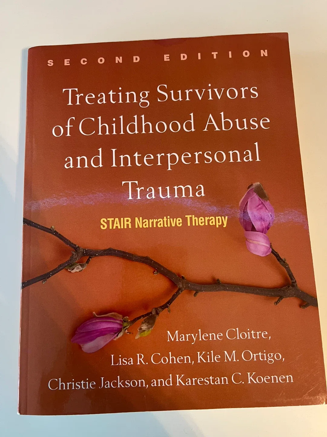 Treating Survivors of Childhood Abuse and Interpersonal Trauma image indicator(3)