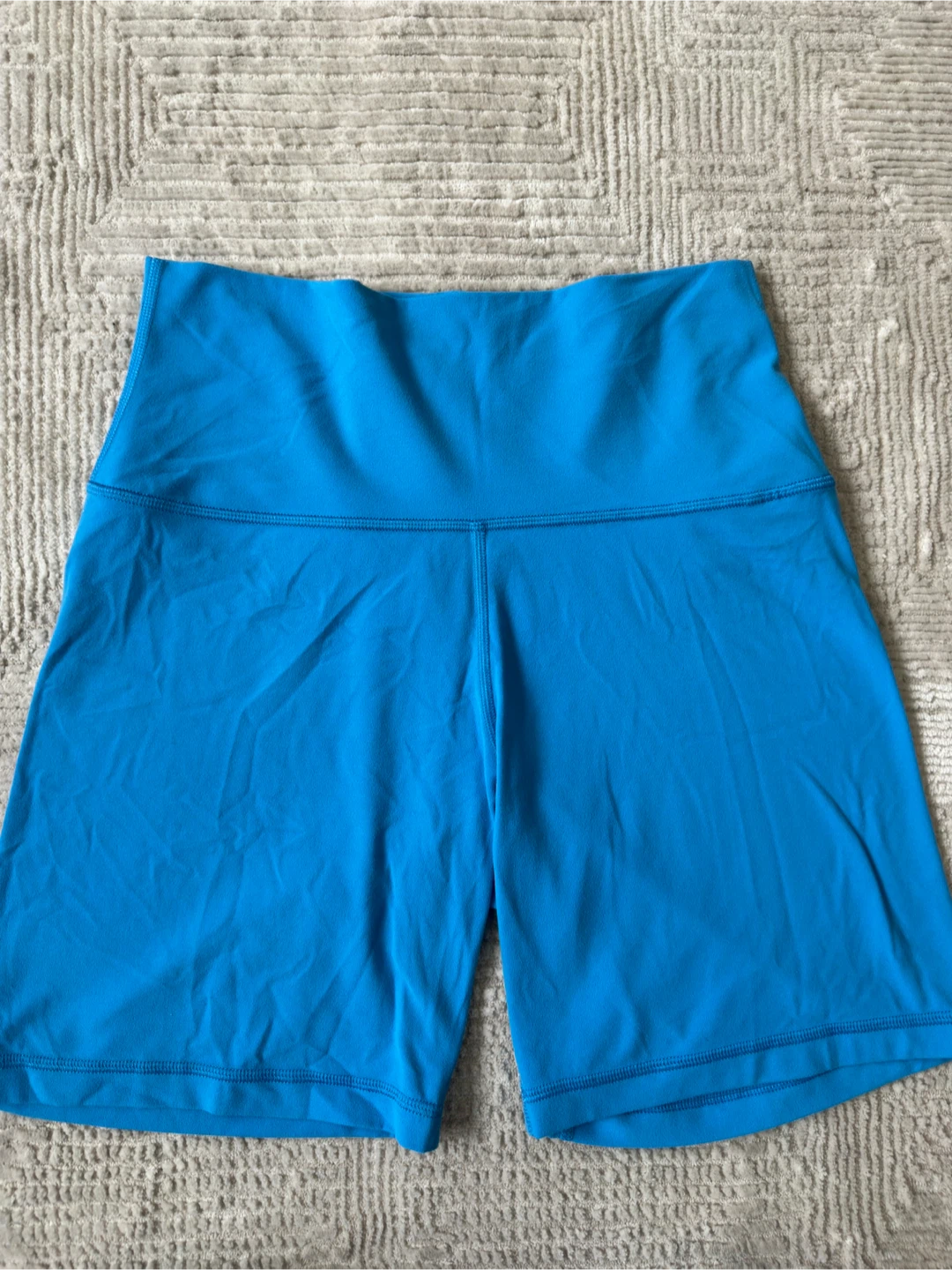 Aritzia Golden Shorts - Size 10 - Blue