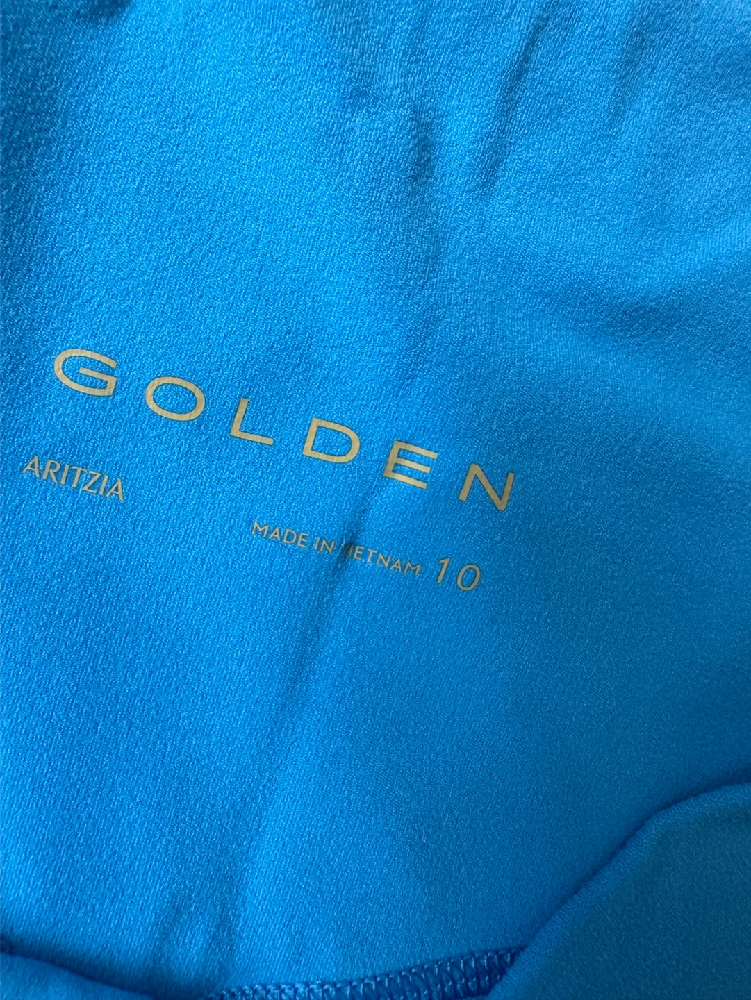 Aritzia Golden Shorts - Size 10 - Blue - photo 3