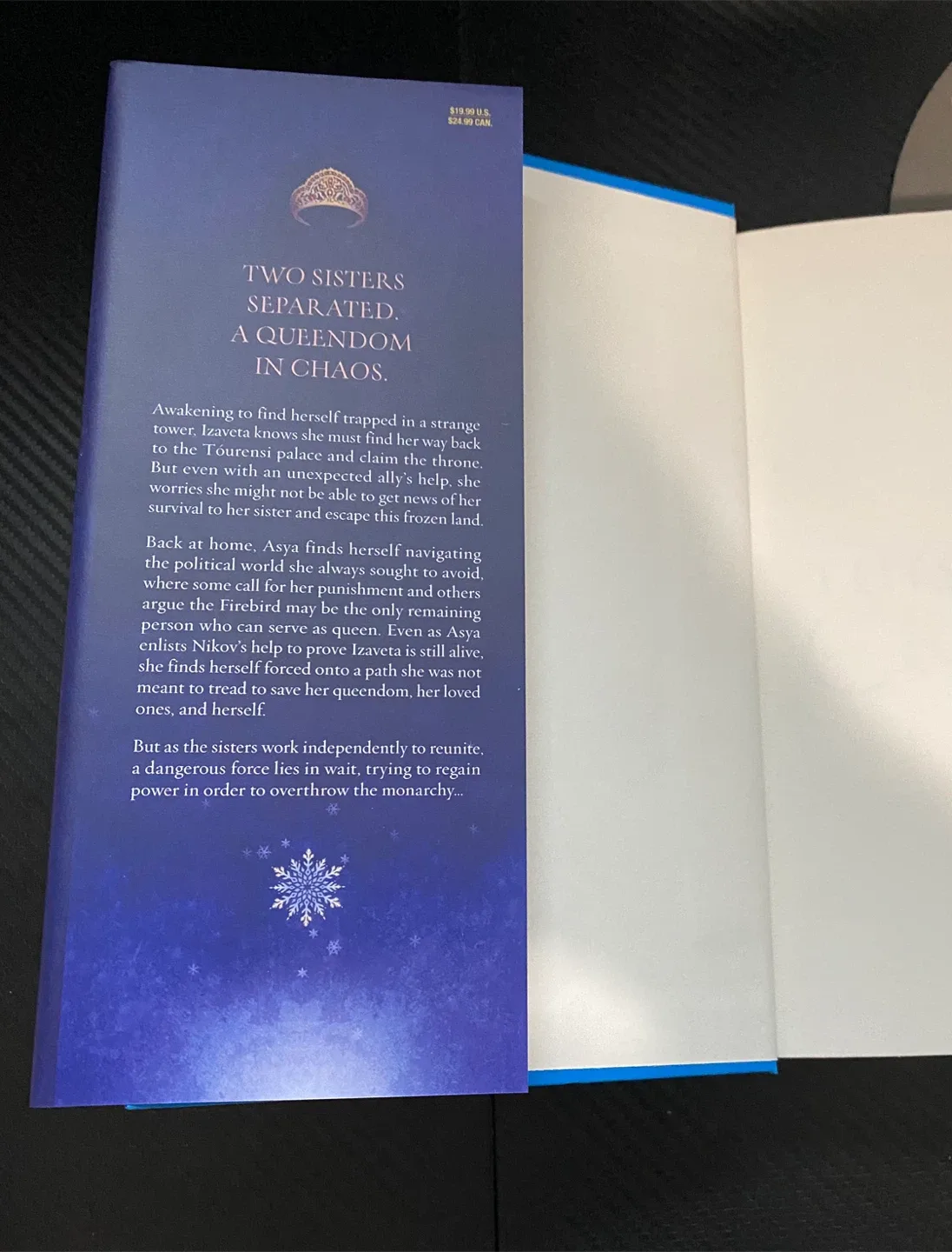 This Cursed Crown by Alexandra Overy image indicator(7)