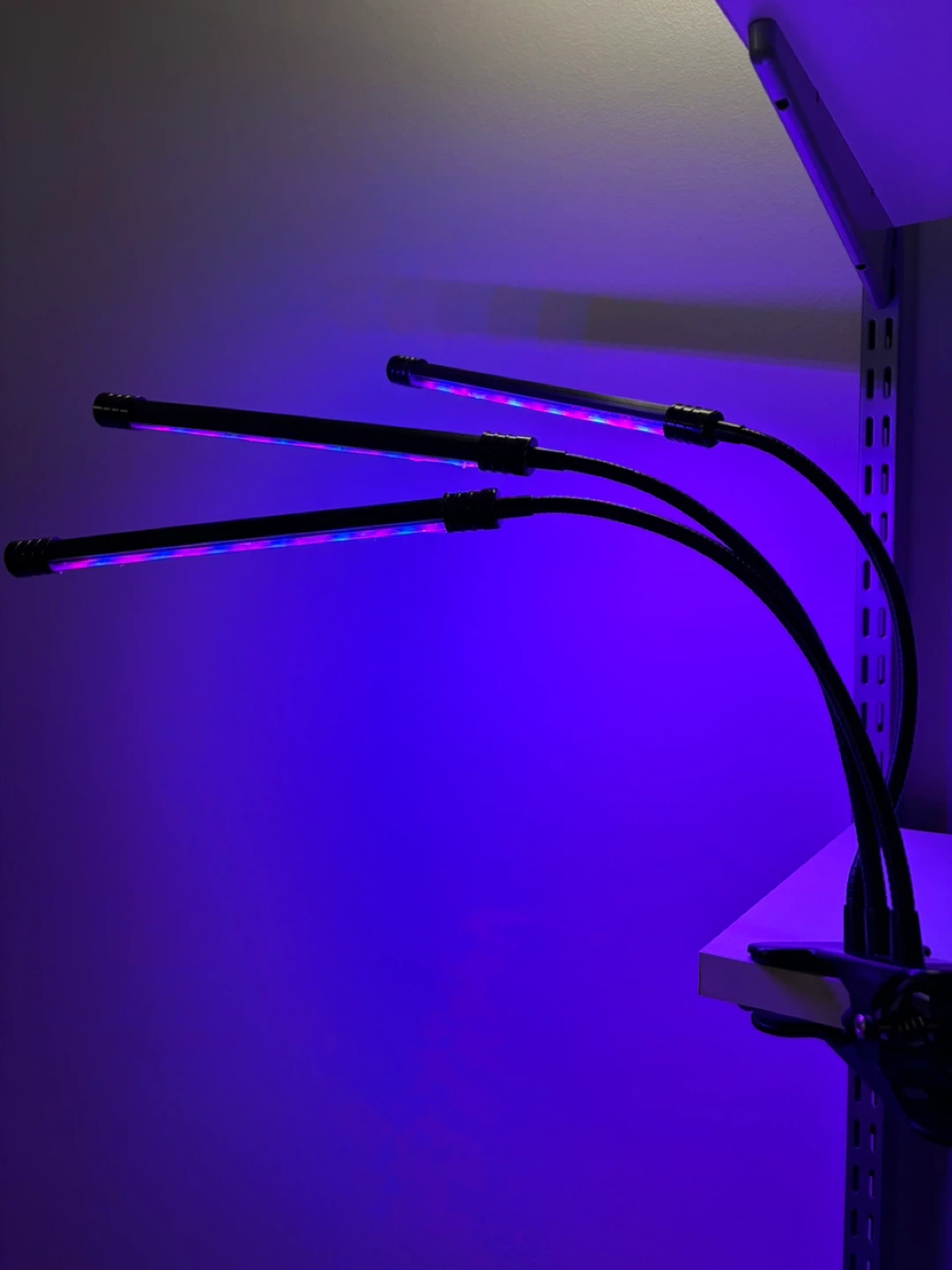LED Grow Light with Timer with usb plug