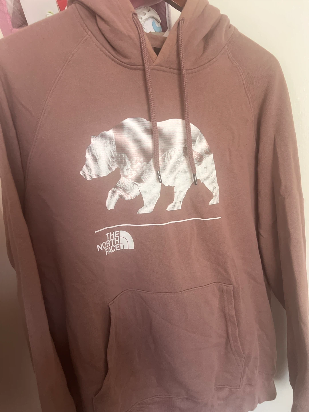 The North Face Bear Pullover Hoodie