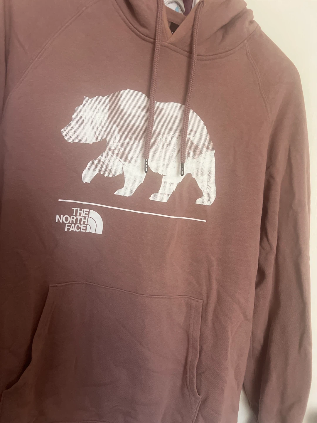 The North Face Bear Pullover Hoodie - photo 2