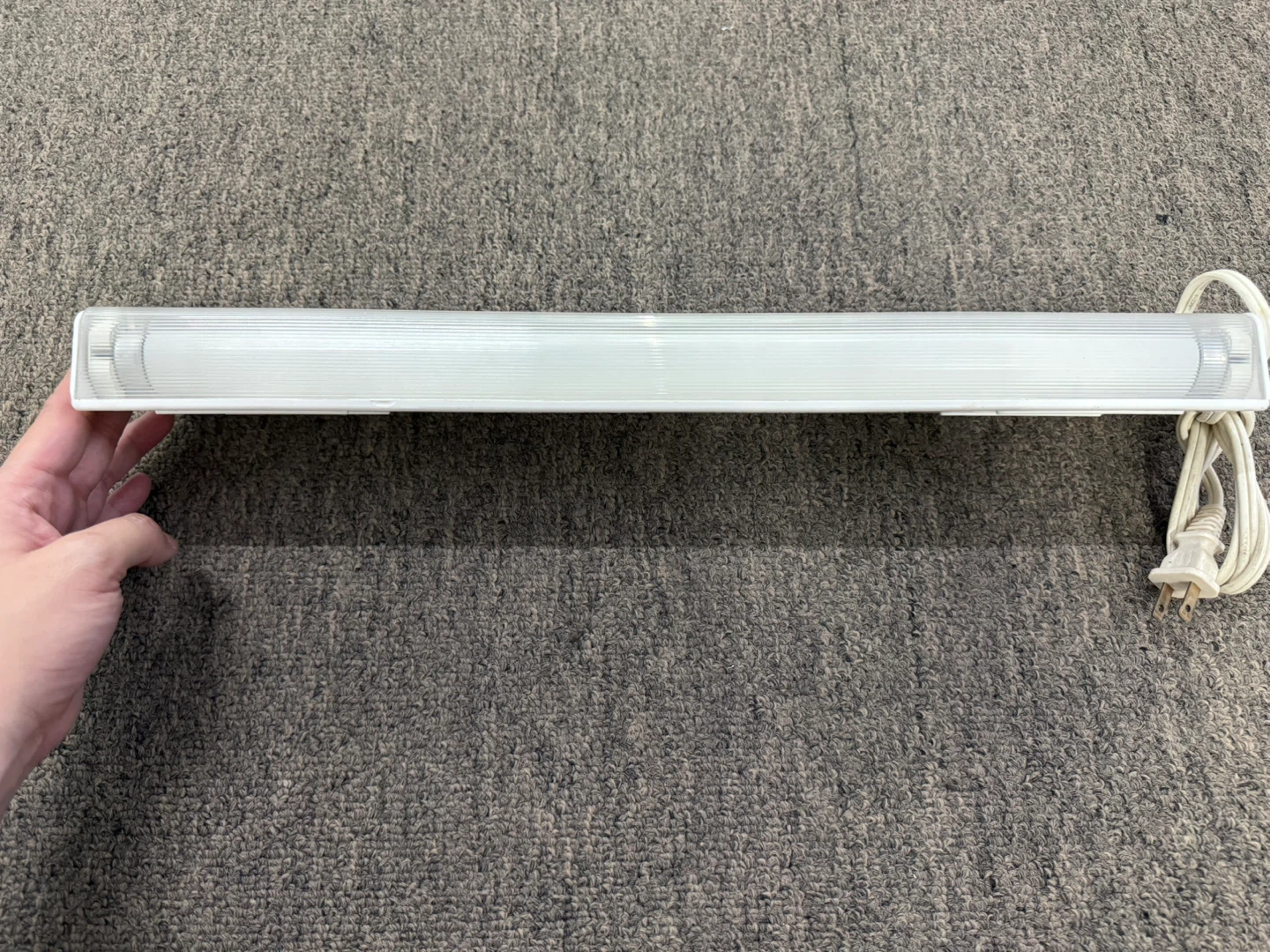 Fluorescent Light - photo 3