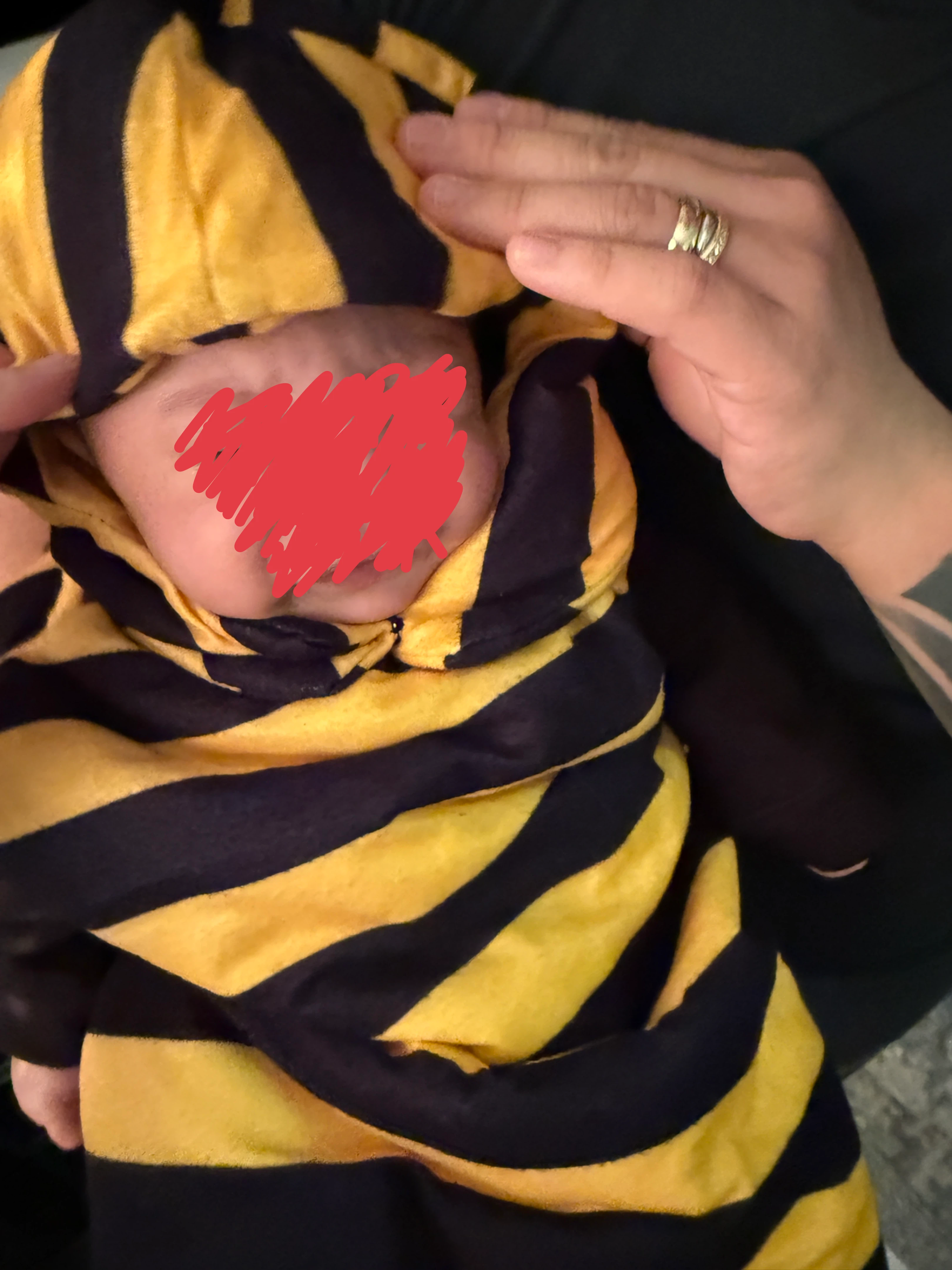 Bee Costume