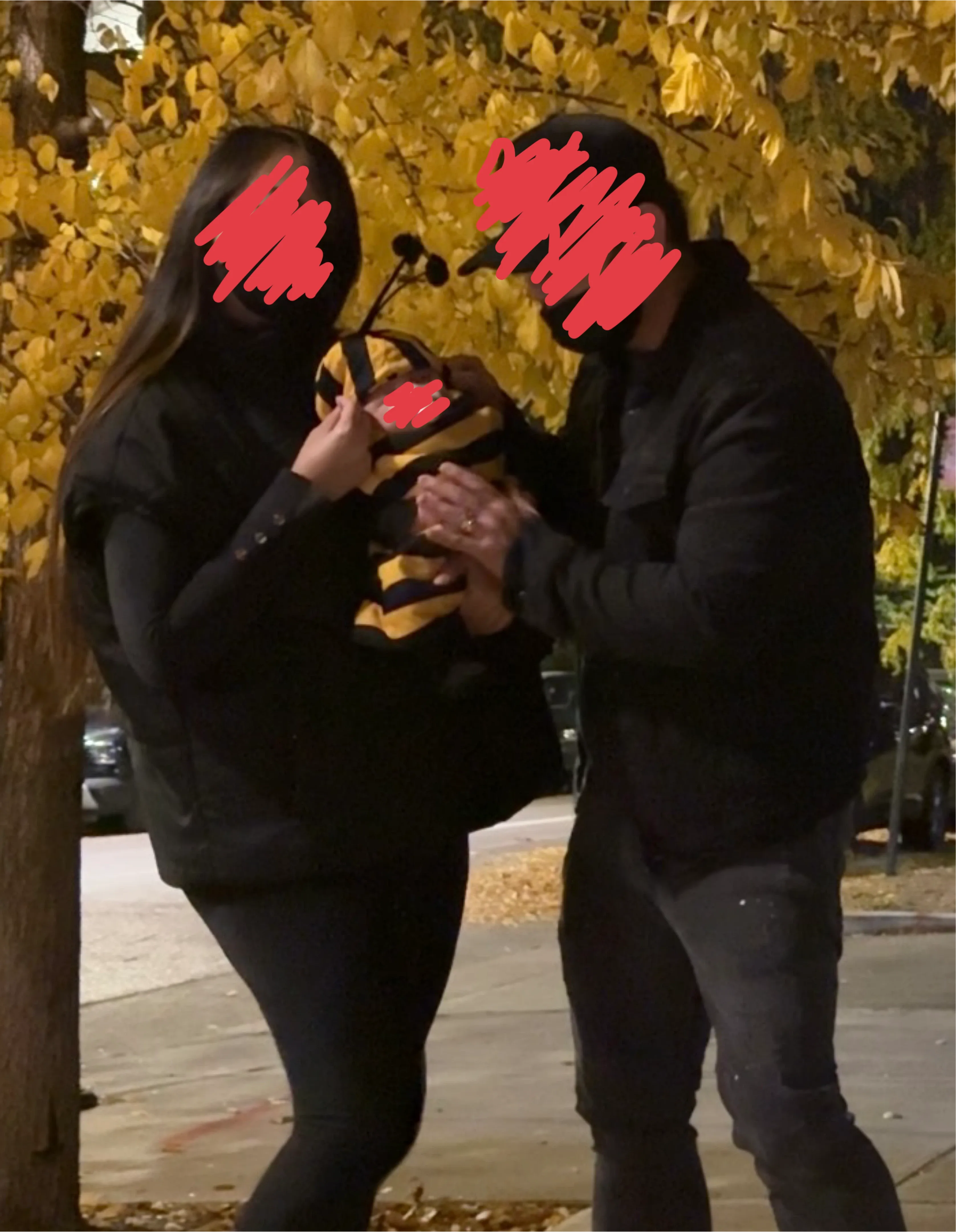 Bee Costume image indicator(2)