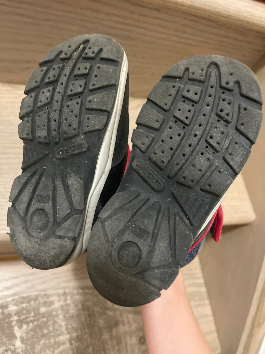 Geox Toddler Winter Boots - US 9 🥕 image indicator(3)
