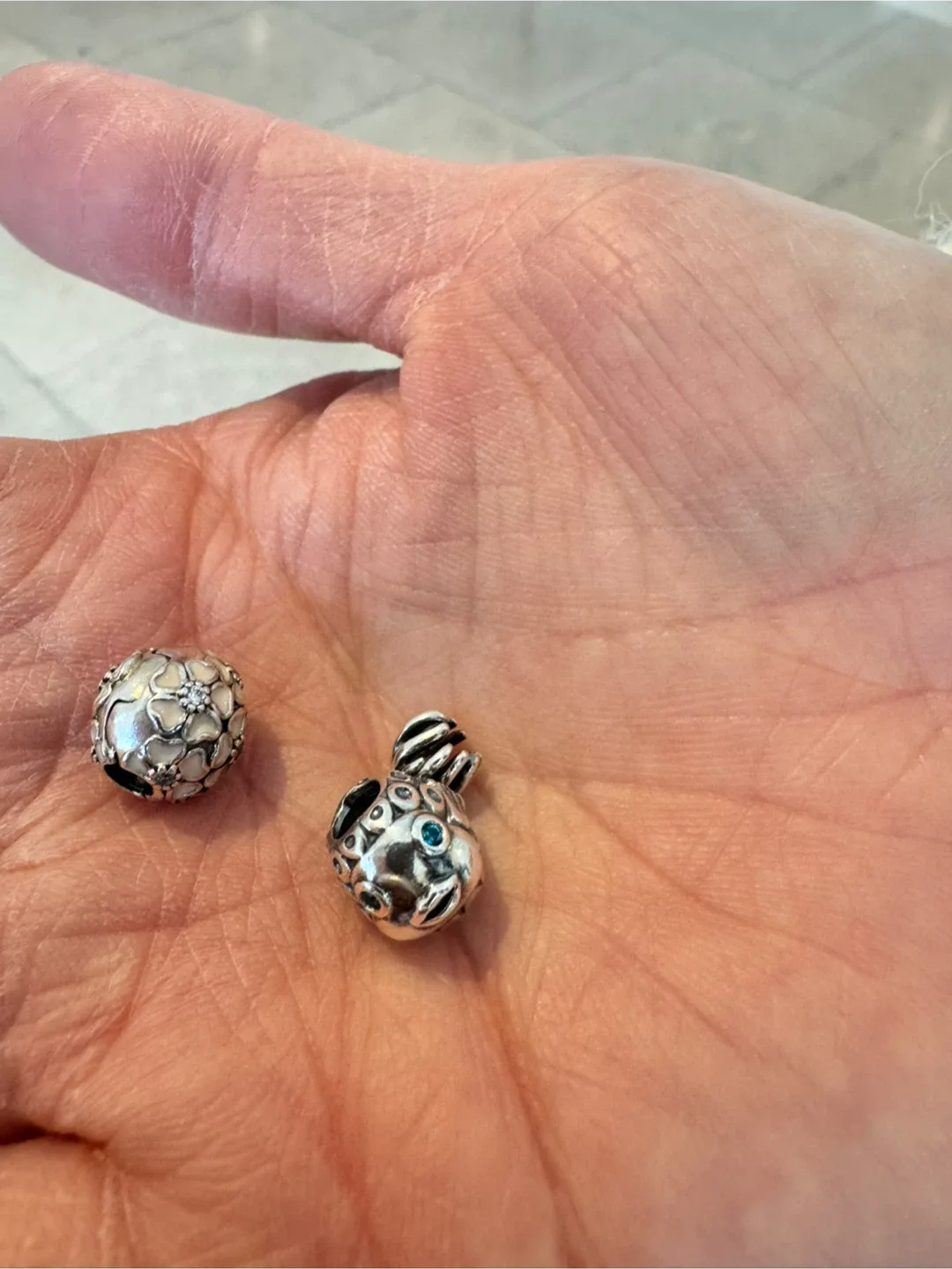 Pandora Charms with Box image indicator(4)